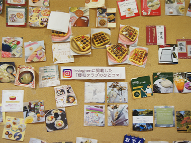 女性のメンタルヘルス